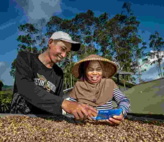 Perkuat Pondasi Ekonomi Nasional, BRI Kucurkan KUR Rp144,5 Triliun ke 2,76 Juta UMKM Per Agustus 2026